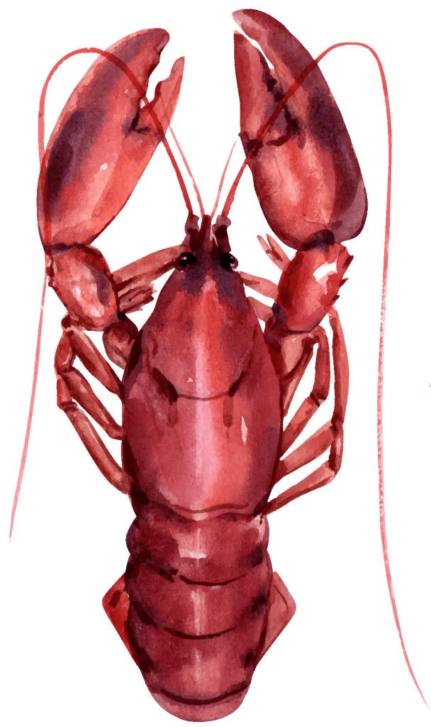 Hand vector created by photographeeasia - www.freepik.com