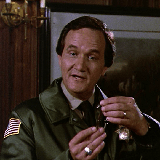 The Greenville Sheriff